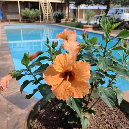 Northam Kono Kono Guesthouse מראה חיצוני תמונה